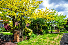 CHKEI采集到花园丨英式