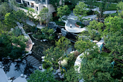 一包感冒灵采集到植物-大区