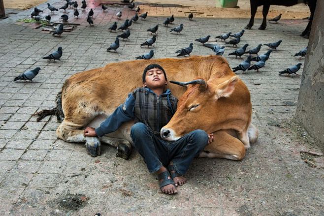 人文摄影大师Steve McCurry镜...