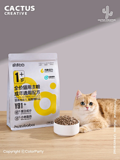土豆君〃采集到宠物-食品-视觉表达