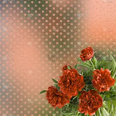 用来祝贺和请柬的老式卡片