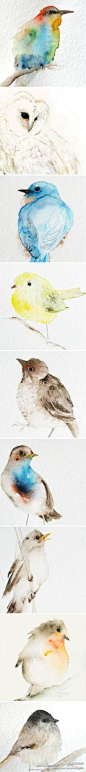 唐亮钢笔画：#作品欣赏#送上一组动物小鸟水彩画......对初学水彩画参考