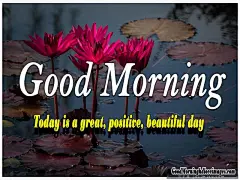 26张充满了日光与花香的早上好美好图片！早上好的句子分享 | 句子喵，分享触动人心的美妙的句子，带有文字的图片壁纸，带有文字的桌面壁纸，带有句子的手机壁纸。|句子迷，句子摘抄，治愈系温柔的短句子，回忆的句子，句子控。 : 我羡慕每天早上看到你之前看到你的太阳。非常爱你，宝贝。醒来！嘿男孩！...你是我发现的最珍贵的宝藏。早上好！你知道我能永远做些什么吗？...我可以每天都爱你。早安爱！这条信息是为了让你知道我一直在想你。早安我的宝贝！我想在你的怀抱中醒来。我 26张充满了日光与花香的早上好美好图片！早上好