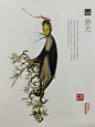仙女太太的《解异集》太太太脑洞大开了