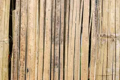 墙,竹子,褐色,泰国人,水平画幅,纹理效果,平视角,异国情调,特写,泰国