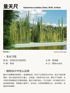 Kano·川页采集到A-3植物种单体