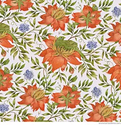 Tetiana Kartasheva 花朵的图案 花 背景图案 水彩 插画 手绘 微博背景 平铺图案 图案 下载 