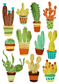 Eleven Potted Cacti: 