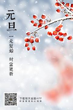 Gimhae11采集到元旦海报