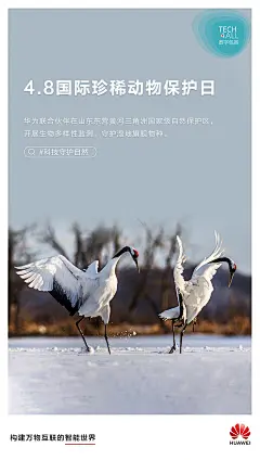 @华为中国 的个人主页 - 微博