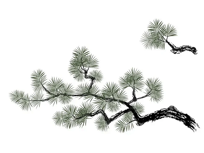 矢量图的松树。图片下载