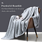 Amazon.com: MOONQUEEN Fleece Throw Blanket for Lightweight - Ultra Soft Velvety Texture Plush Fuzzy Cozy Blankets and Throws for Sofa and Living Room (Silver Gray, 50x60 in) : Home & Kitchen