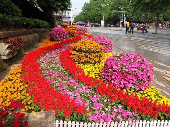 ^时花