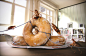  3d surreal storytelling   creatures CG cockroach vfx ad KrispyKreme   donut
