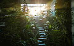 dre-大采集到植物园