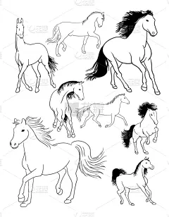 线条画,马,动物主题,野生动物,直的,模板,哺乳纲,动物,品牌名称,尾巴