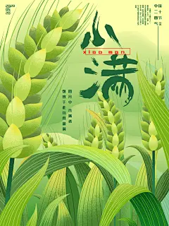 清新绿二十四节气小满节气海报