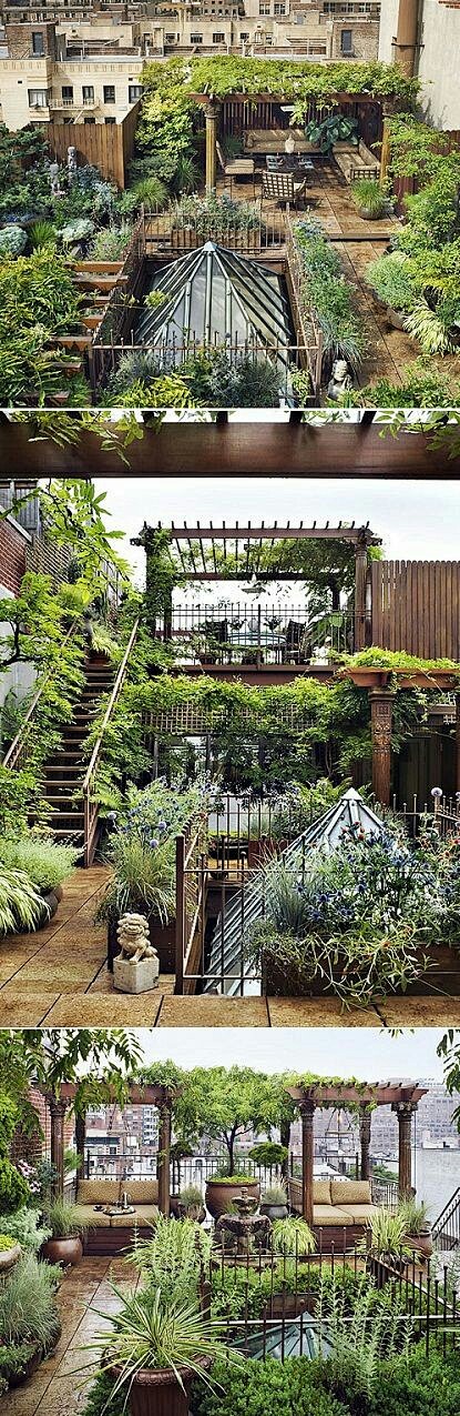 Terrace Gardening (2...