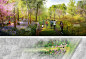 2019 ASLA 分析与规划类荣誉奖：麦金太尔植物园，弗吉尼亚 / Mikyoung Kim Design : 弹性及恢复性景观设计