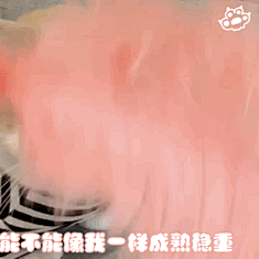 猫猫表情包 Dt毁灭叭烦了 - 堆糖