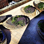 Raised beds/benches on roof terrace