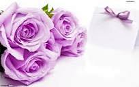 purple - Google 搜索