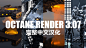 Octance Renderer 3.07 R18R19完整中文版Oc For C4D中文版