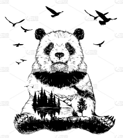 景壹07采集到猴子熊猫
