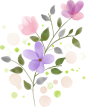 Flower Plant Illustration