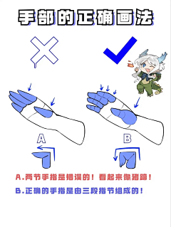 韩云倾采集到人体结构