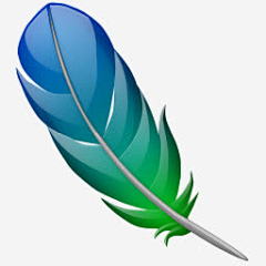 光影小织匠采集到Y-羽毛
