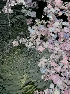 采集图片