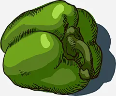手绘青椒免抠素材_新图网 https://ixintu.com 手绘 蔬菜 青椒