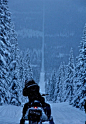 世界上12个最奇葩的国界线，都在哪儿？_知道日报_知道日报_百度知道挪威和瑞典：国界上开雪车