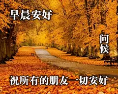 新的一天早上好问候语图片，13张唯美的早安祝福语图片表情合集_人生