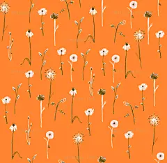 【花卉插画系列图集下载】创意叶子草本花卉绘画/抽象植物绘画临摹作品/水彩iPad手绘作品