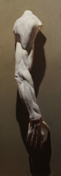 其中包括图片：From the Cast — Academy of Realist Art Boston