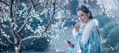 喵的曾经采集到壁纸