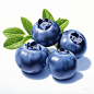 three blueberries, white background, in the style of james bullough, highly detailed, award-winning, exacting precision, mike mayhew, contest winner