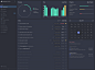 Dashboard UI Kit界面设计UI