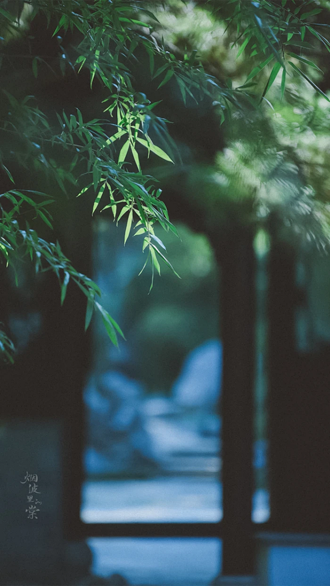 竹叶
