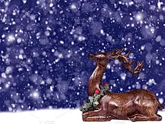 雪地里的驯鹿