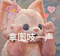 来自网络
