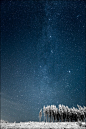 Milky Way and Finnish Forest

photo by Janne Heimonen