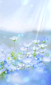 蓝花 GIF 动态壁纸 