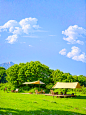 户外风景 (1)