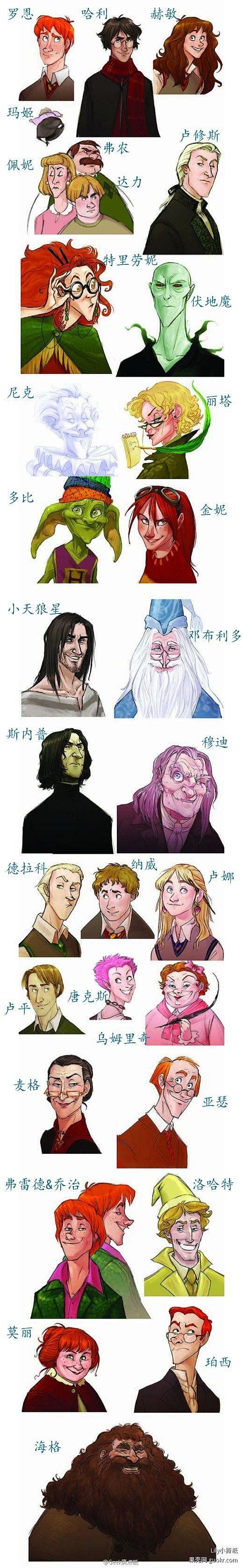 【HP向】如果迪士尼来拍哈利波特 下边....