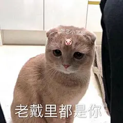 一组表情包 点赞你会收到甜甜的消息~ ​​​​