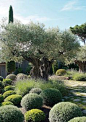 eye-catching-mediterranean-garden-decor-ideas-6