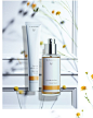 Dr. Hauschka Japan ドクターハウシュカ (@drhauschkajapan)的Instagram主页 · Tofo.me · 中文Instagram网页版